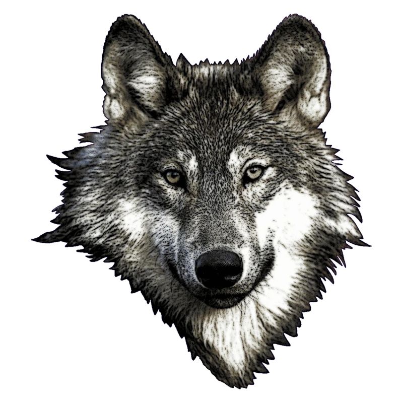 Wolfsgesicht