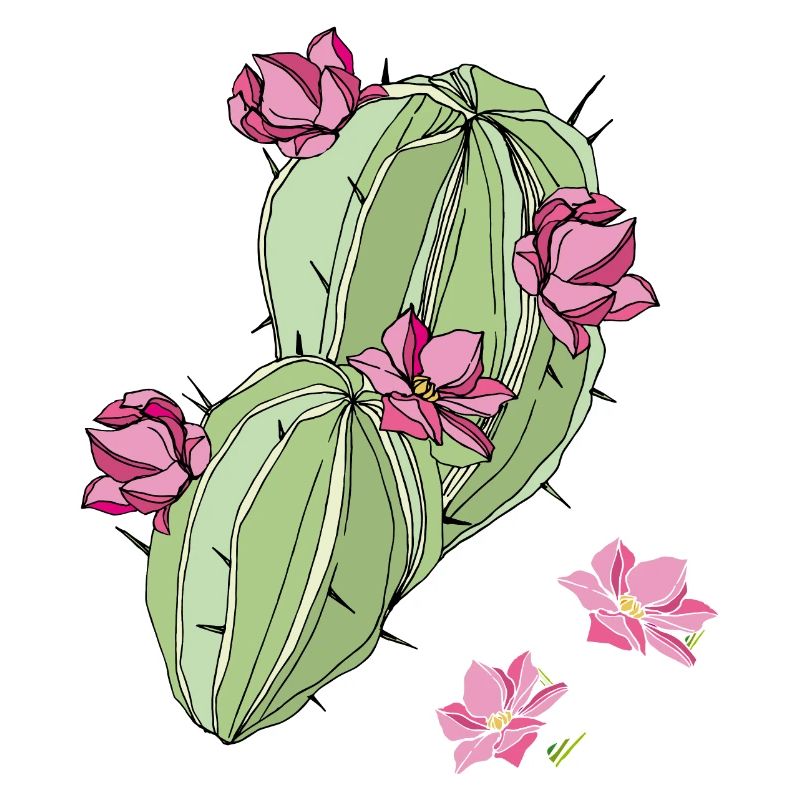 Cactus à fleurs