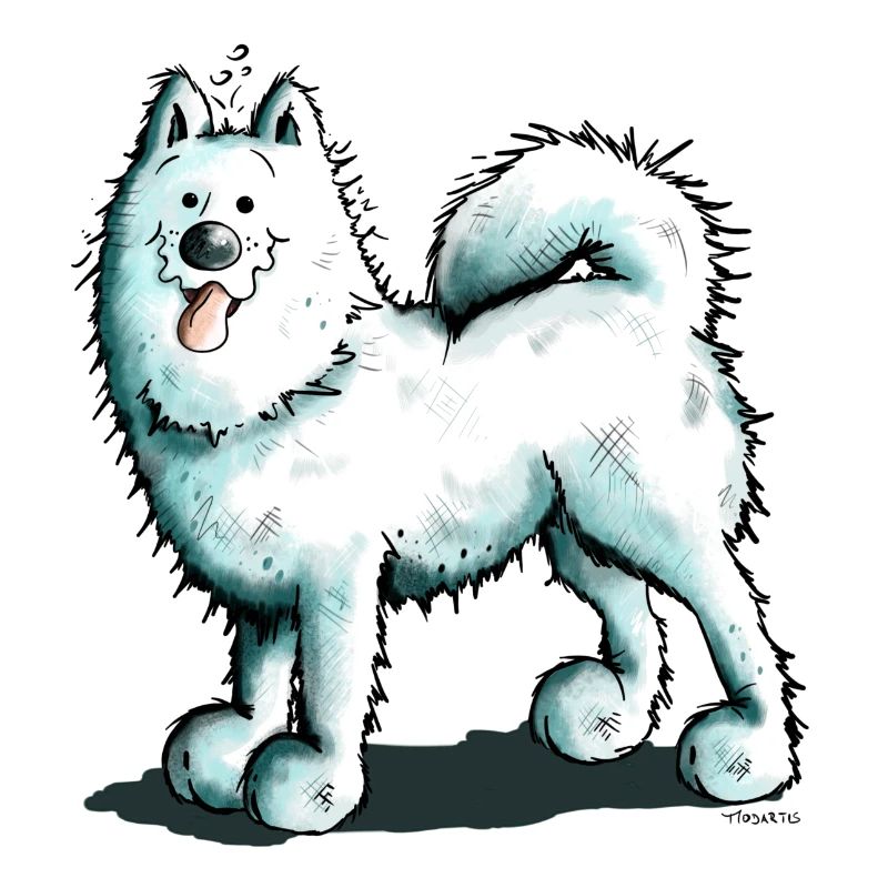 Sammy Samoyed - Samoyède