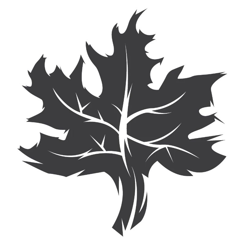 Maple Leaf Illustration Nature Forest Graphic Icon