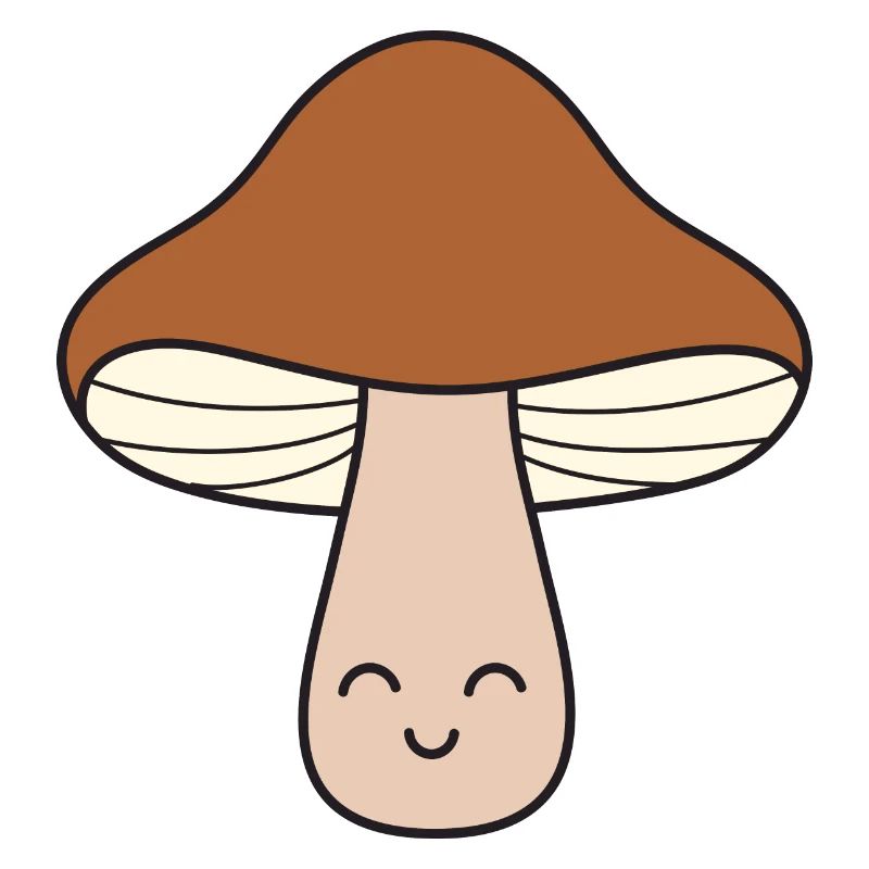 Champignons champignons