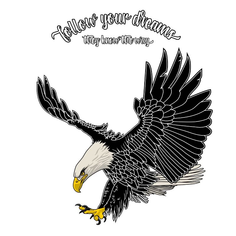1208 Suivez vos rêves baldeagle juste noir