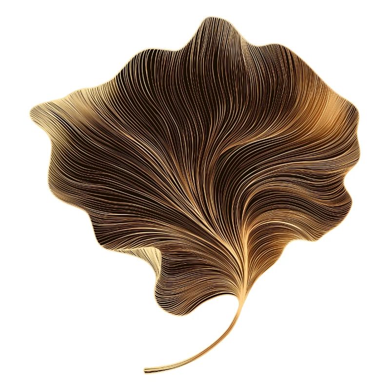 Feuille élégante