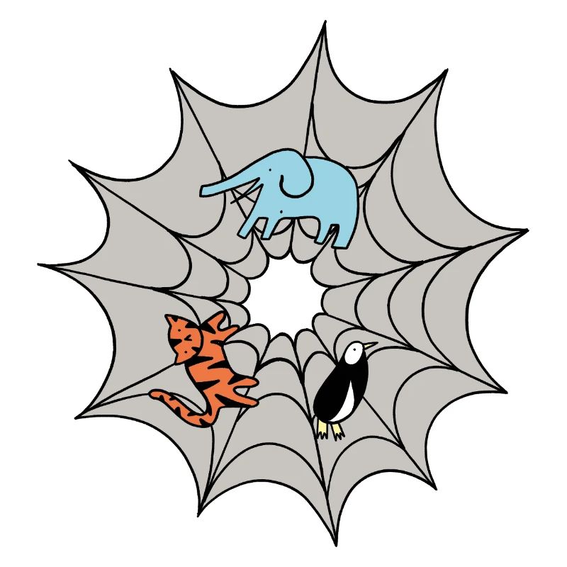 Spider web