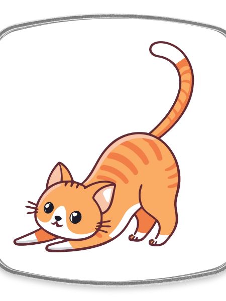 Orange kitten stretching