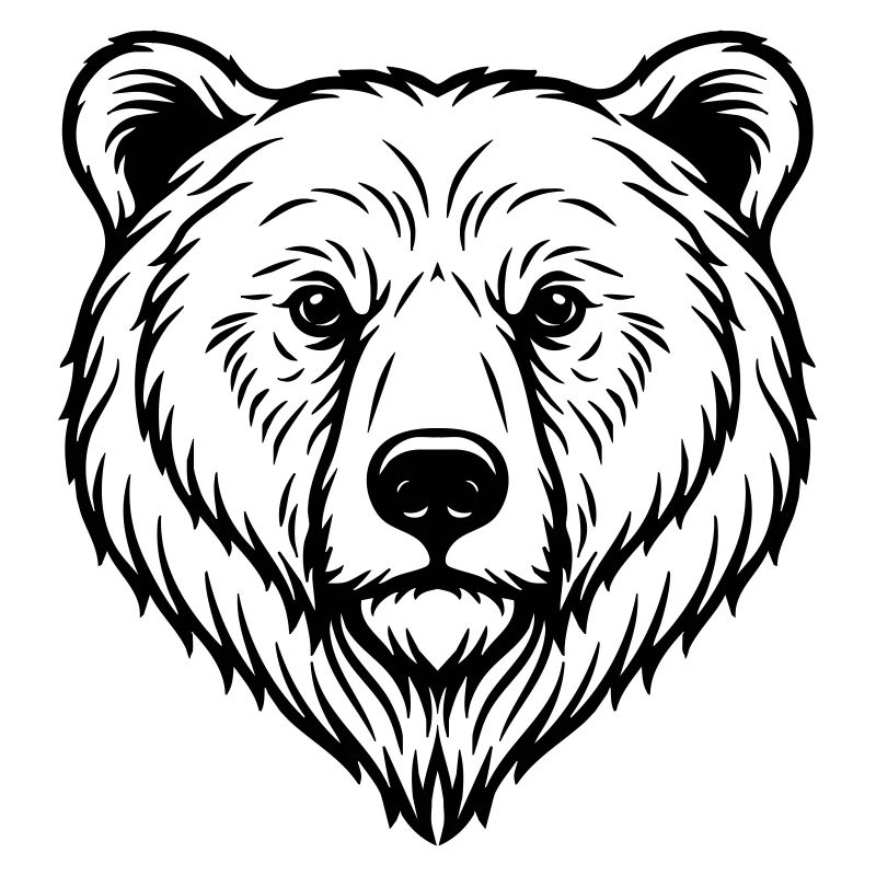 Illustration d’ours
