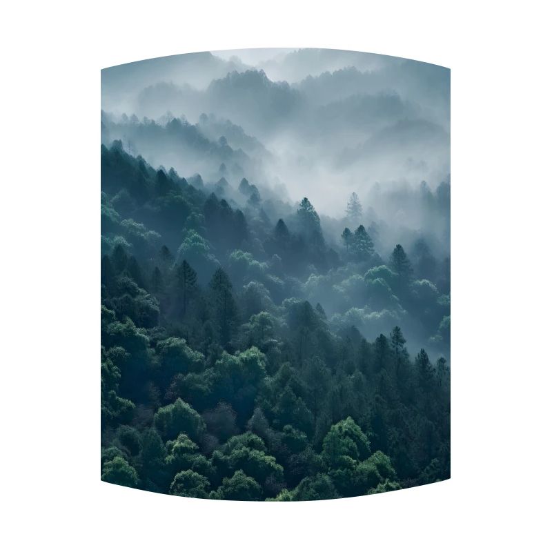 Brouillard forestier