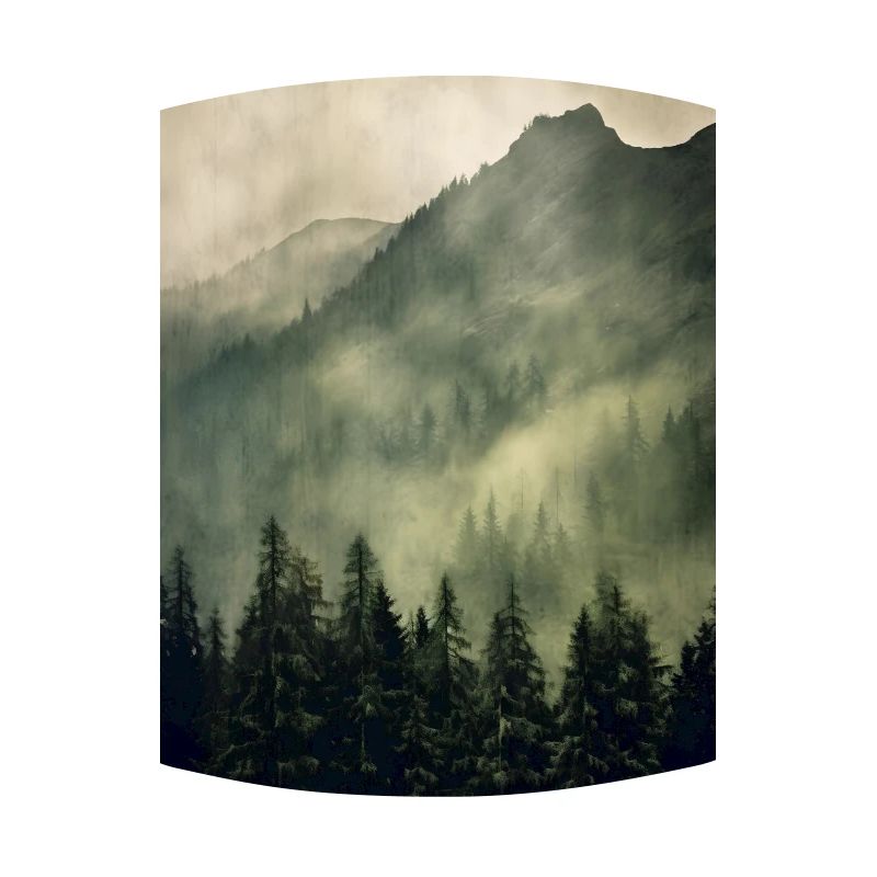 Brouillard forestier