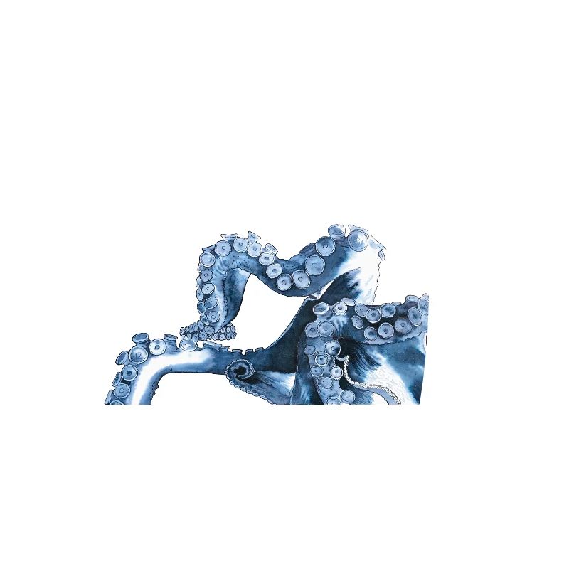 Octopus Tentacle Octopus Tentacle Octopus