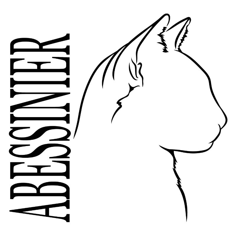 Abessinier Profil Katzen Katze Wilsigns