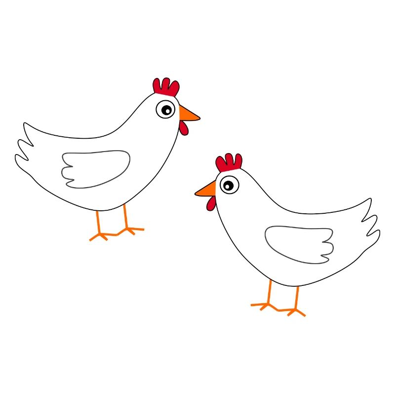 Poulet Blanc Poulets Blancs Poules Pâques