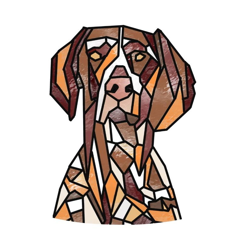 German Pointer