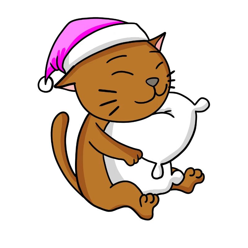 Chat race de chat Chat Abyssin