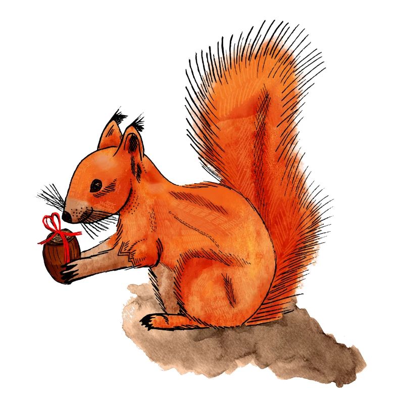 Eichhörnchen mit Geschenk