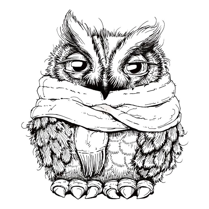 Freezing Owl