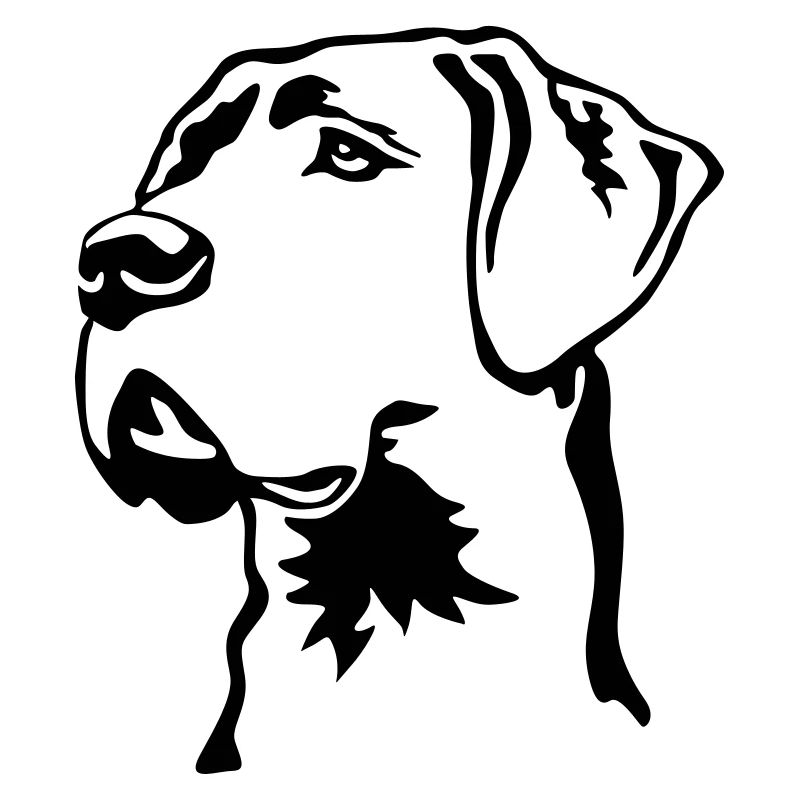 Great Dane head