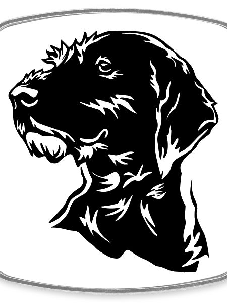 German Wirehaired Head
