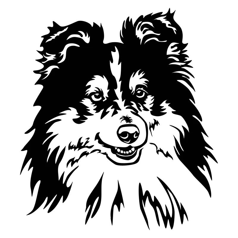 Sheltie Head