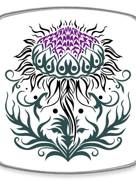 Distel lila Thistle