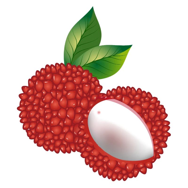 Juicy Lychee Duo with Leaf – Exotic Motif