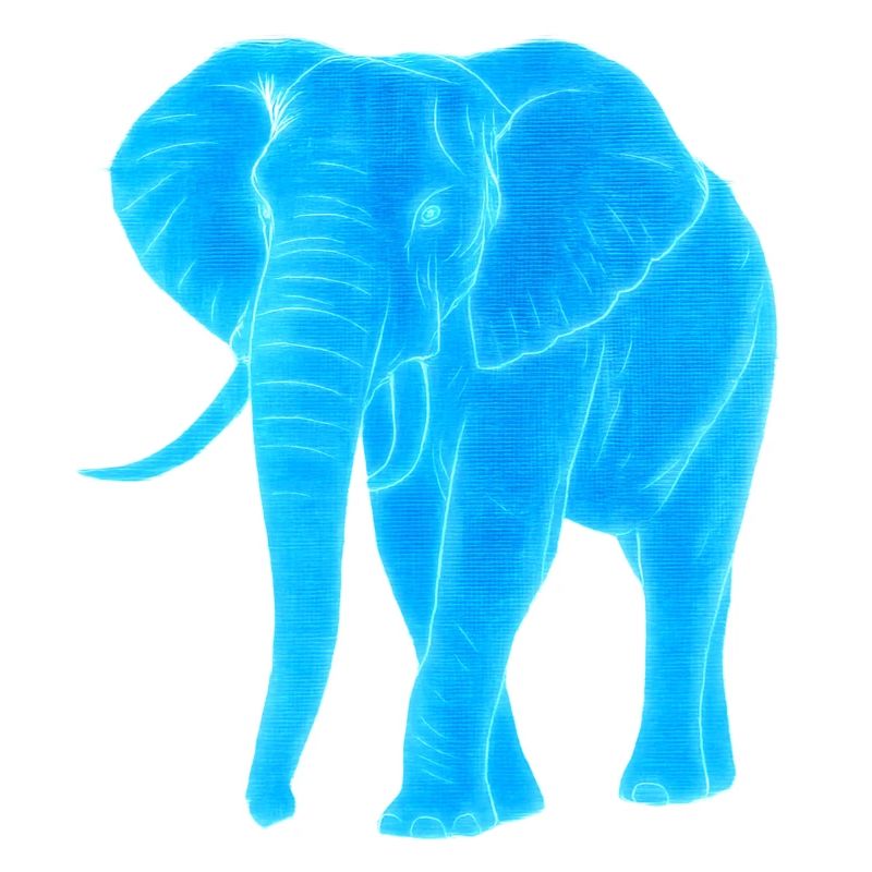 Néon Éléphant Line Art