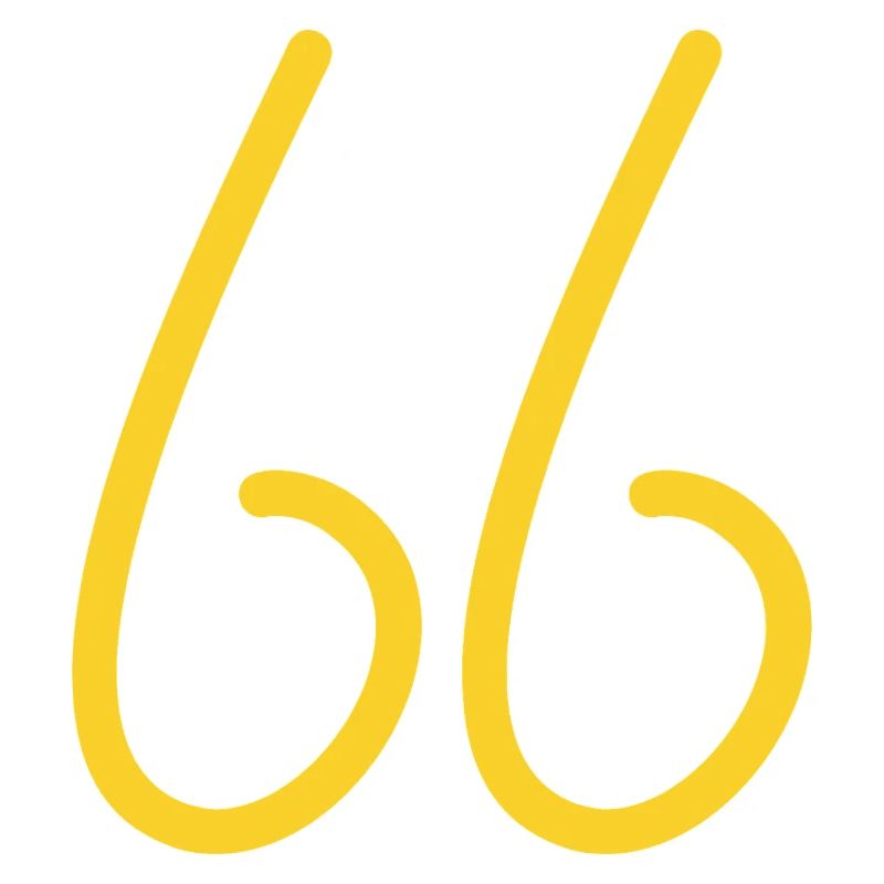 66