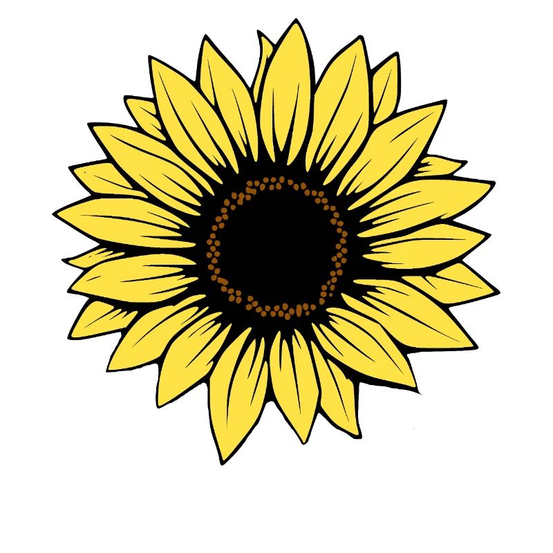 Fleur Fleur Jaune Fleurs Fleur Tournesol Fleur