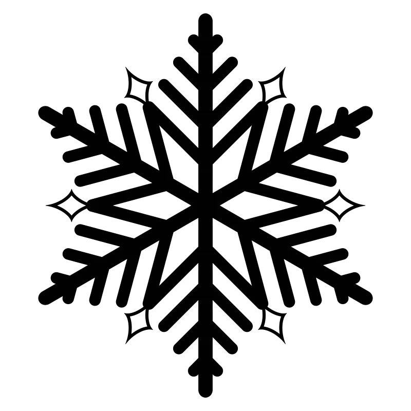 Flocon de neige flocon de neige
