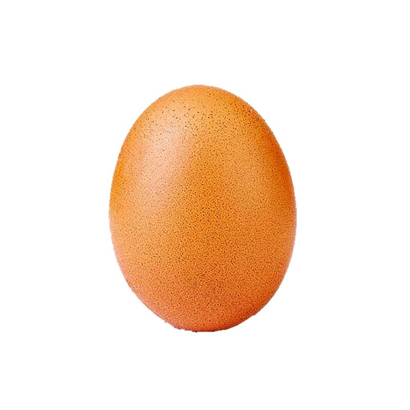 egg