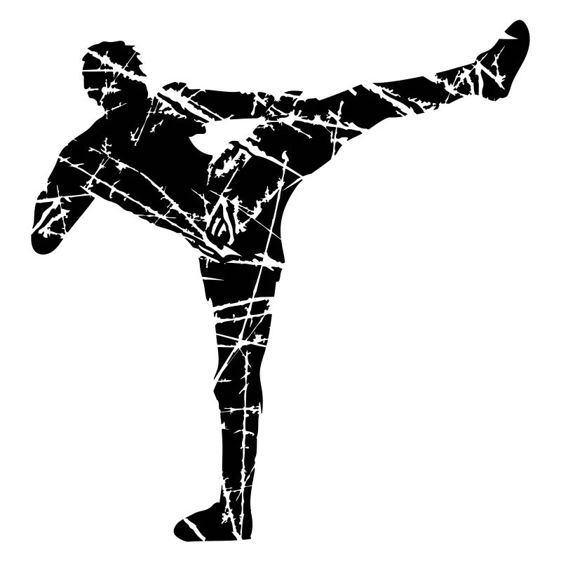 cracks scratch kickboxer kickboxing karate judo kamp