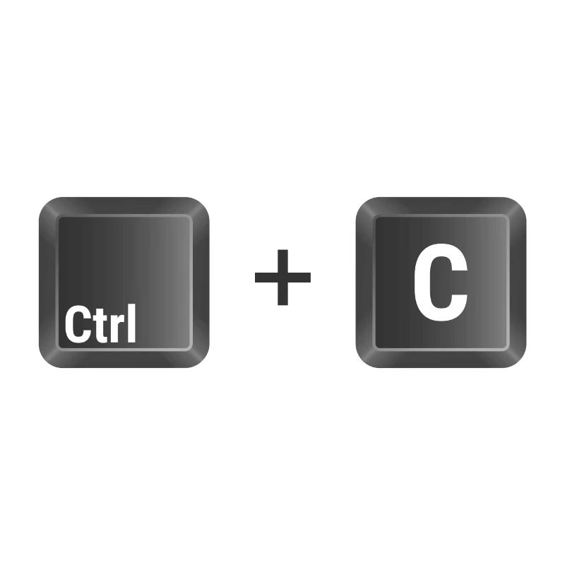 Ctrl + C copy and paste t shirt copy