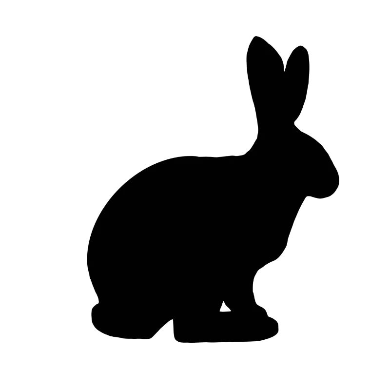 Bunny easter bunny rabbit gift pet