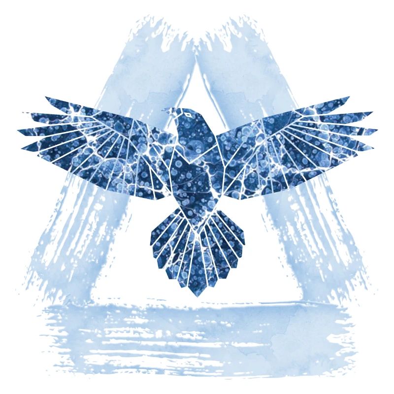 eagle e 206