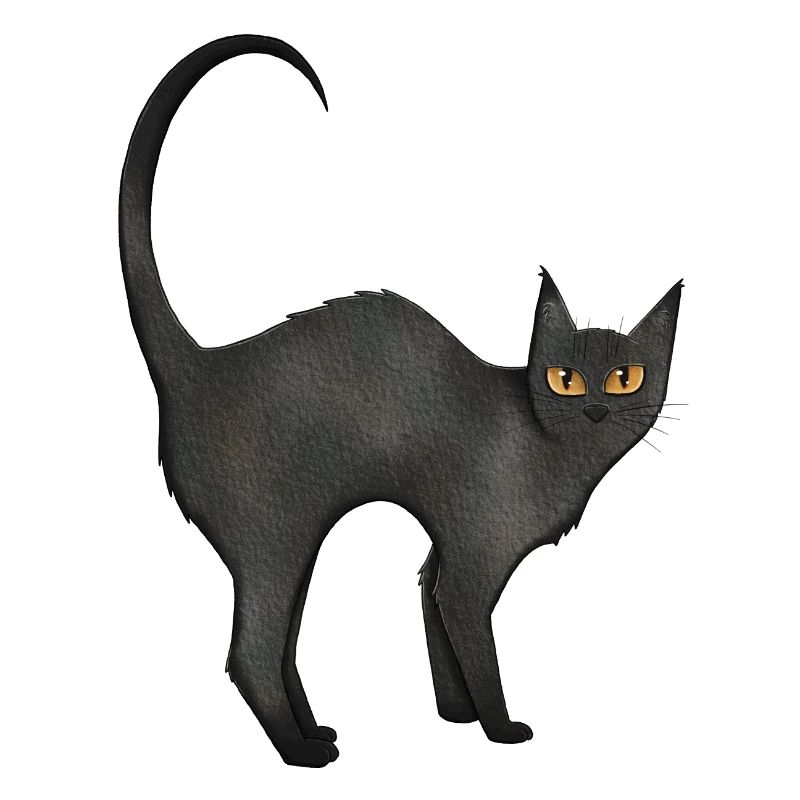 Chat Noir