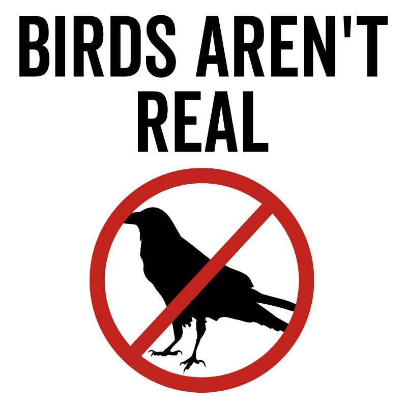 Les oiseaux ne sont pas réels