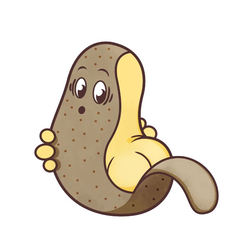 Potato