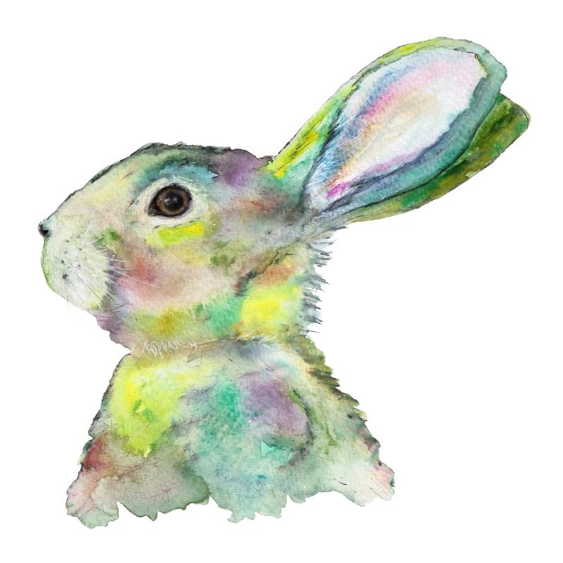 Hare