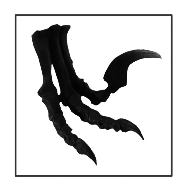 Griffe d’Utharaptor