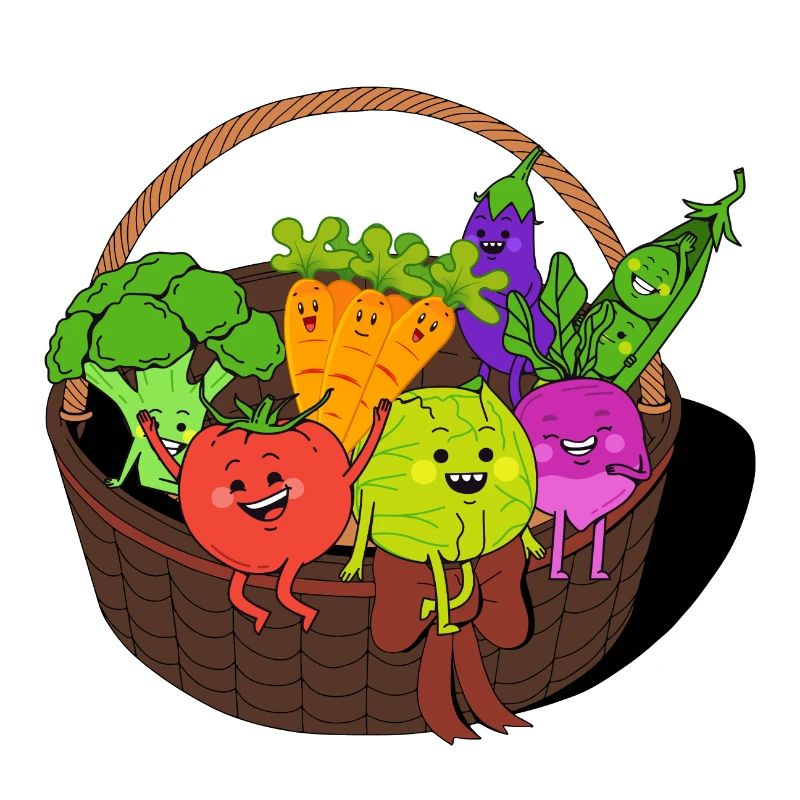 Vegetable basket