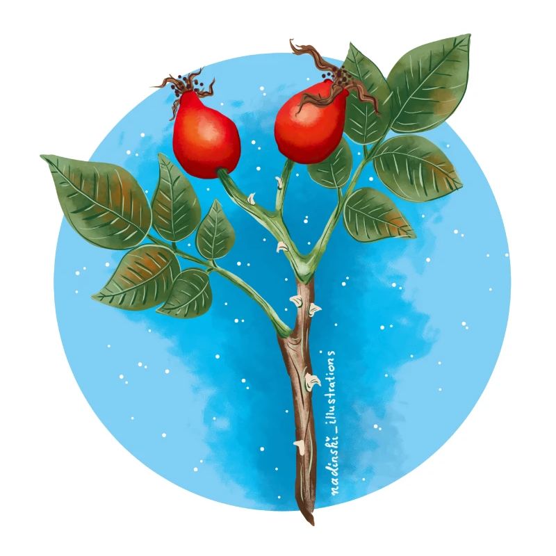 Haws
