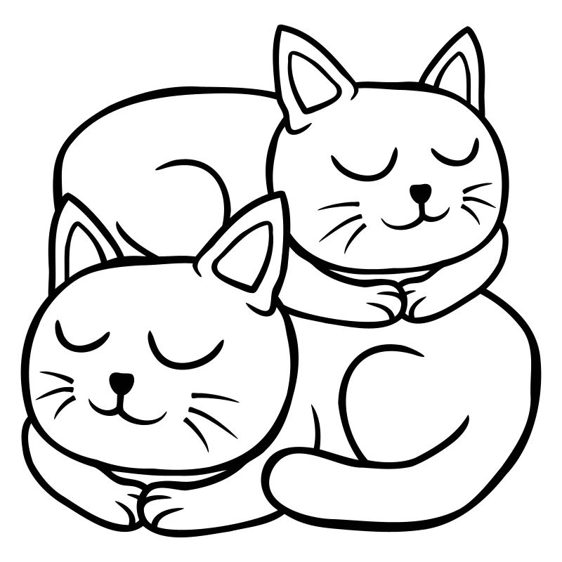 Cats sleeping on each other Couple