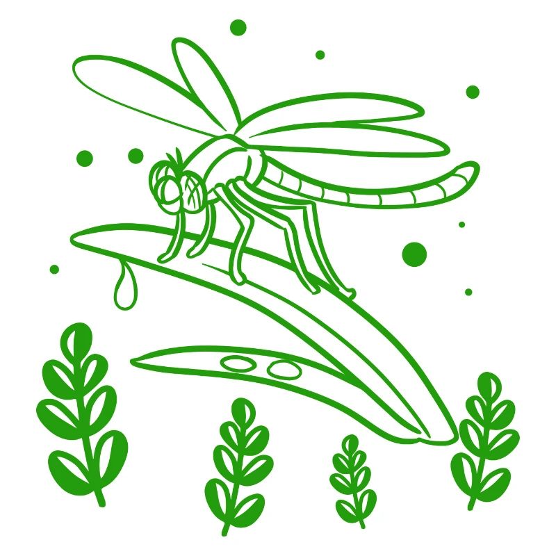 funny bee - nature - insect