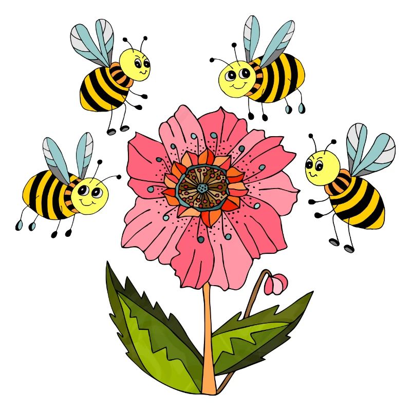 Insects