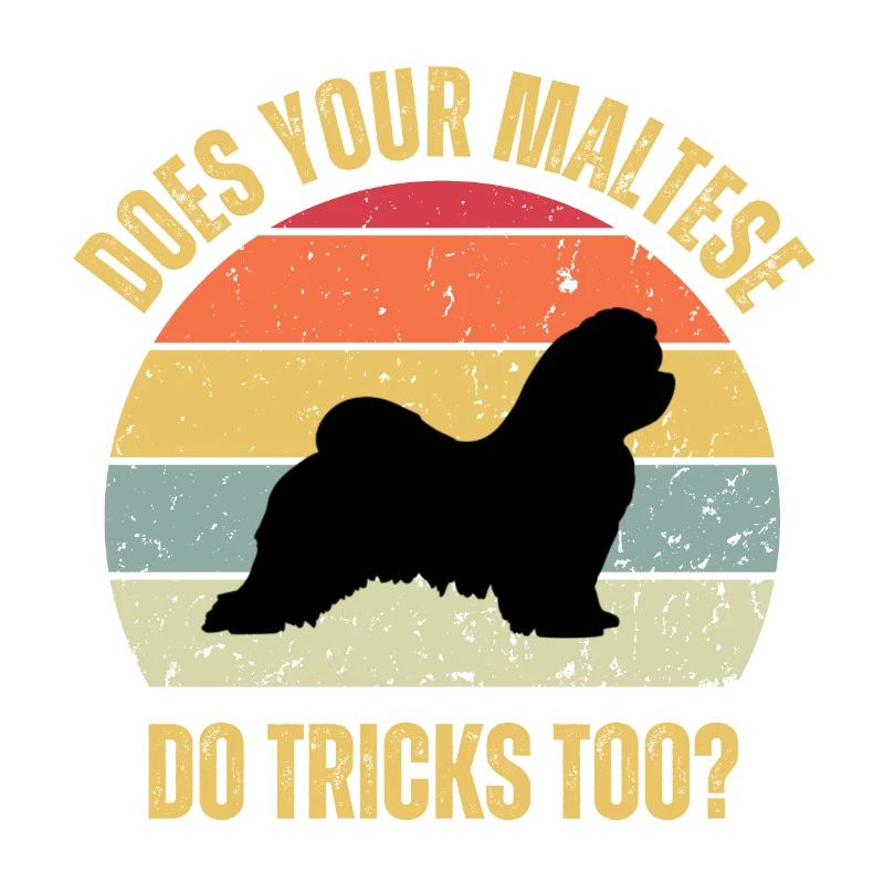 Does Your Maltese Do Tricks Too