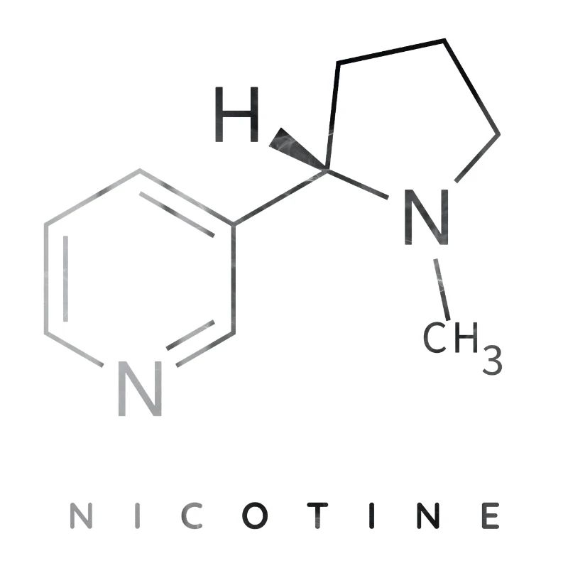 Nicotine molecule