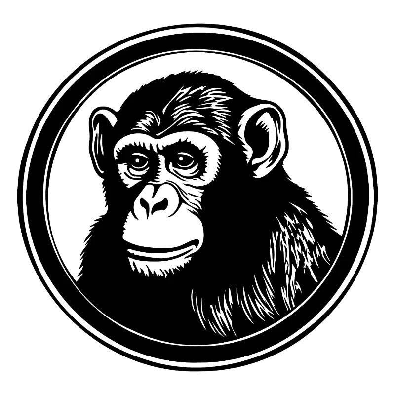 Monkey Monkey Monkey Face Jungle