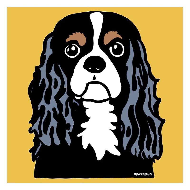 Cavalier King Charles Spaniel Doodle
