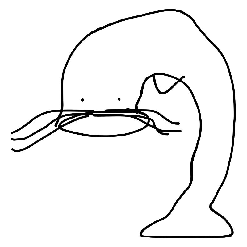 Catfish Fish