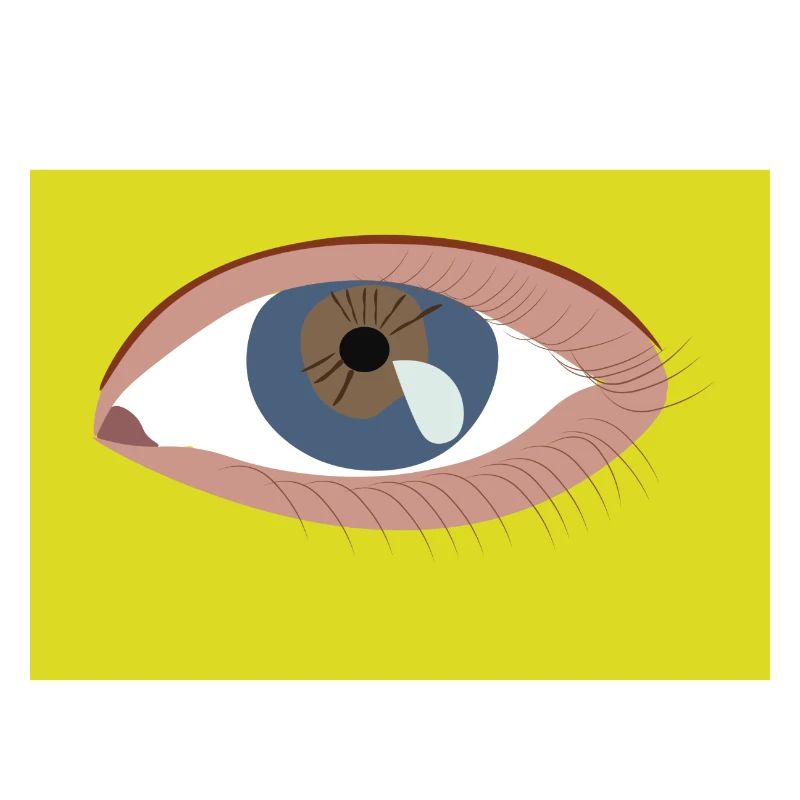 Eye