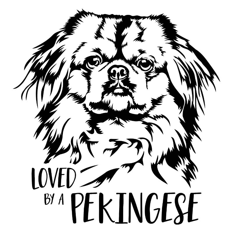 Loved by a Pekingese Hunde Hundespruch Wilsigns